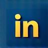 LinkedIn icon